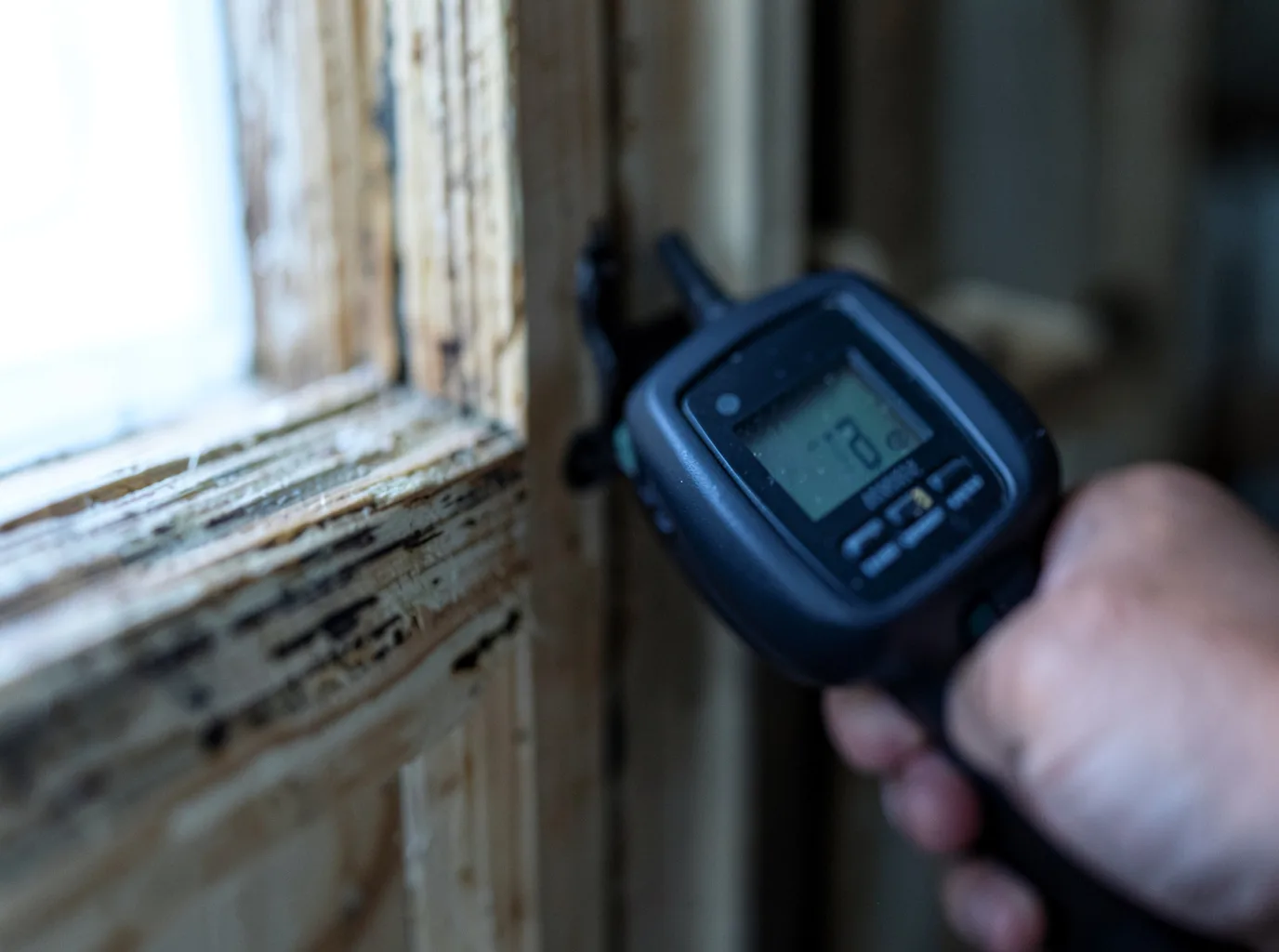 Moisture Inspection And Documentation in Shortsville, NY